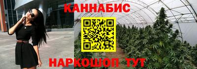 прущие крисы Анжеро-Судженск